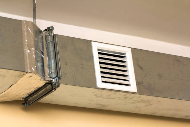 Best Air Duct Sanitizing Services  in Minier, IL